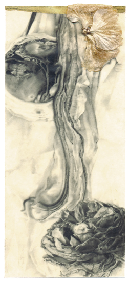     crayon / papier paraffin&eacute; / or / p&eacute;tale - 18,2 x 8 cm