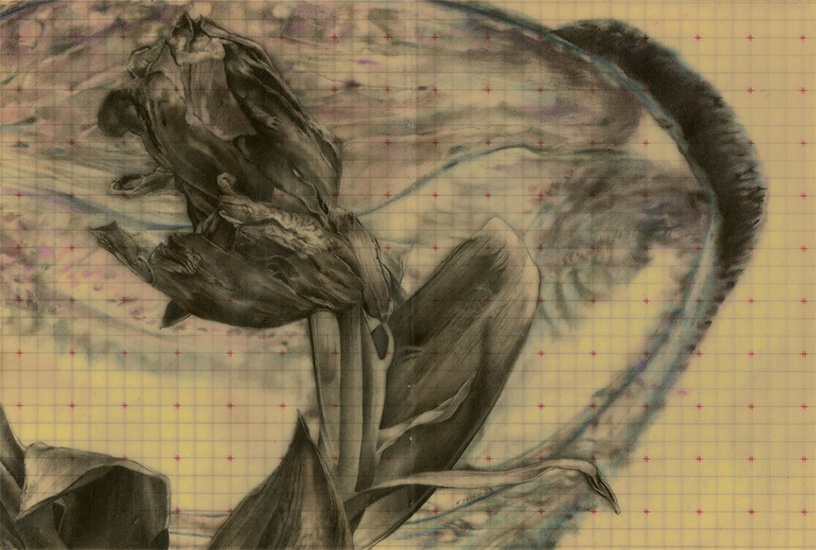     crayon / papier paraffin&eacute; - 14 X 20,5 cm